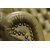 Fotoliu Chesterfield piele naturala - tip Churchill XL, 72 image
